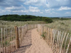 Dawlish Warren Nature Reserve Sand Pathway