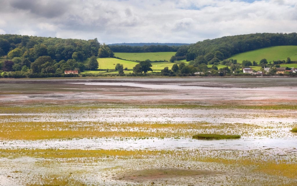 Dawlish To Teignmouth Walk Scenic Route