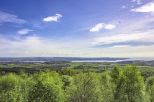 View of Countryside from Mamhead Obelisk
