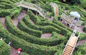 Escot House Outdoor Maze In Garden