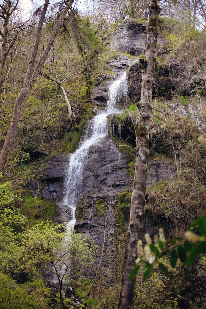 latespring 015