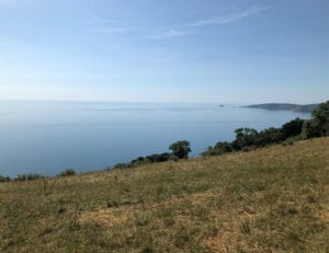 Labrador Bay South Devon