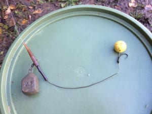 Autumn Carp Fishing Pineapple bottom bait