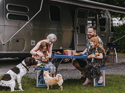 dog friendly camping in devon