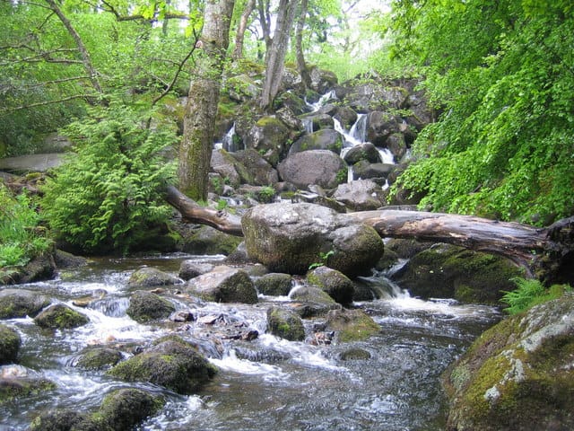 Becky Falls Woodland Park