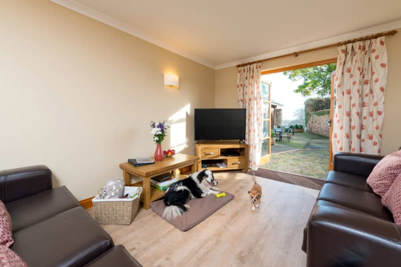 Primrose cottage, dog friendly holiday cottage