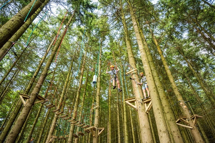 Cofton Holidays tree top high ropes adventure course