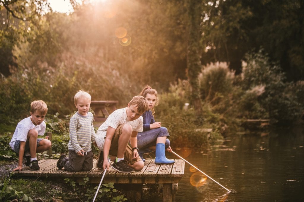 Pond dipping - kids free activity at Cofton Holidays