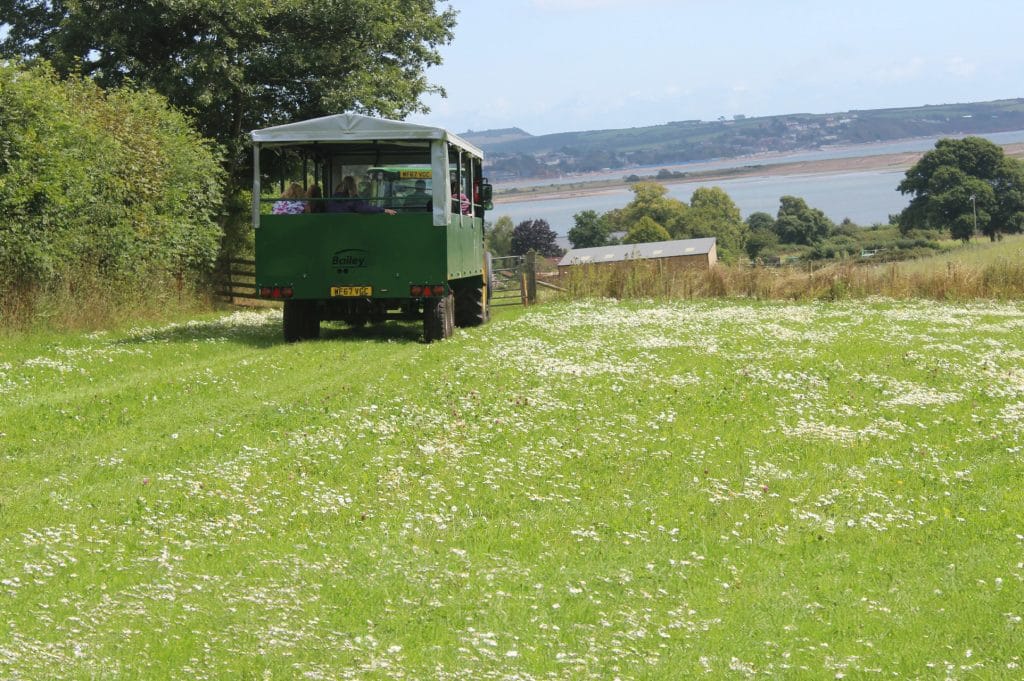 Tractor trailer ride at countryside
