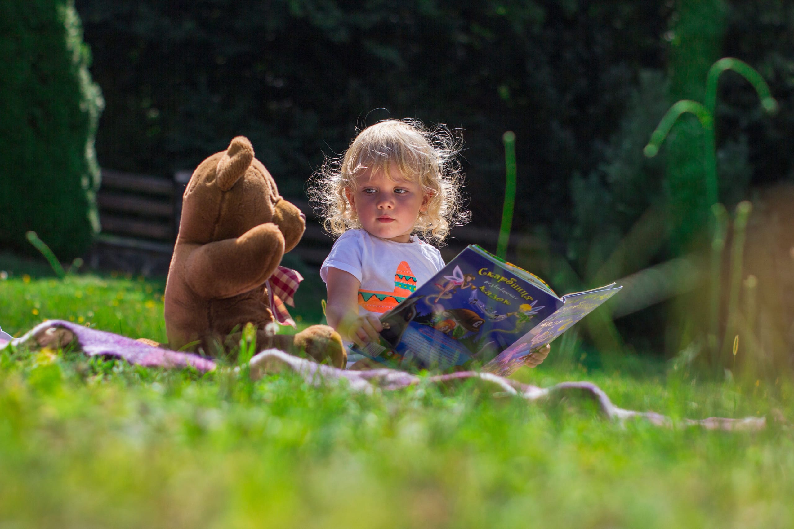 Digby's Story Book Picnic