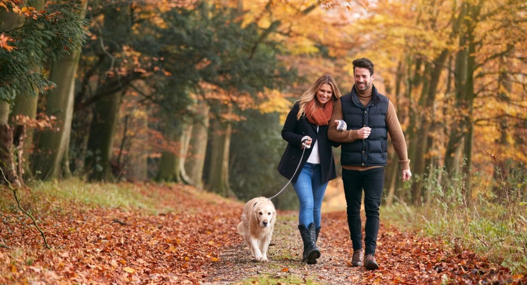 Why Choose An Autumn Break in Devon